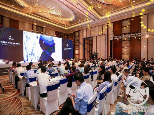 �B�Ƹە���Փ��